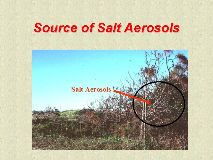 Source of Salt Aerosols 