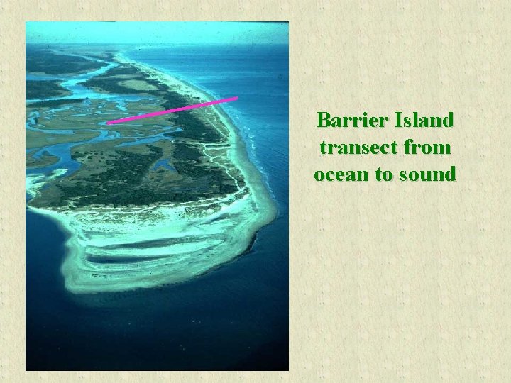 Barrier Island transect from ocean to sound 