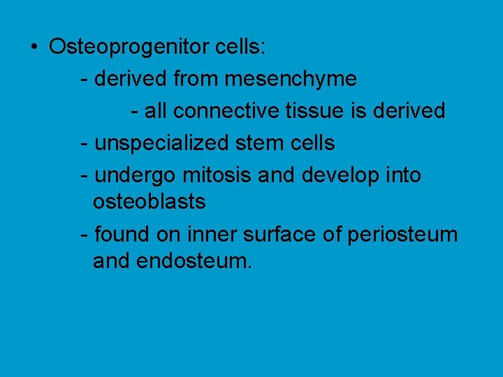  • Osteoprogenitor cells: - derived from mesenchyme - all connective tissue is derived