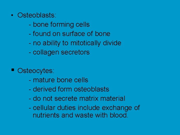  • Osteoblasts: - bone forming cells - found on surface of bone -