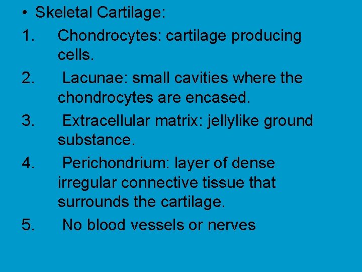  • Skeletal Cartilage: 1. Chondrocytes: cartilage producing cells. 2. Lacunae: small cavities where