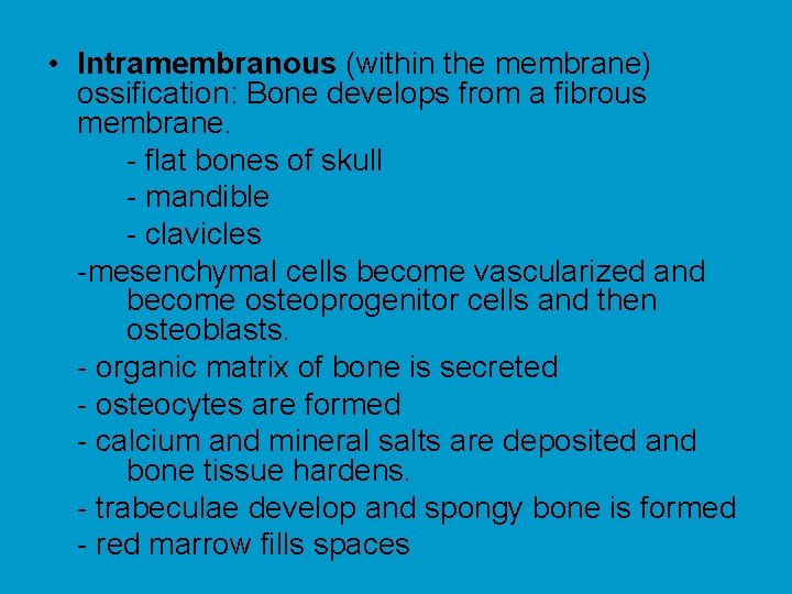  • Intramembranous (within the membrane) ossification: Bone develops from a fibrous membrane. -