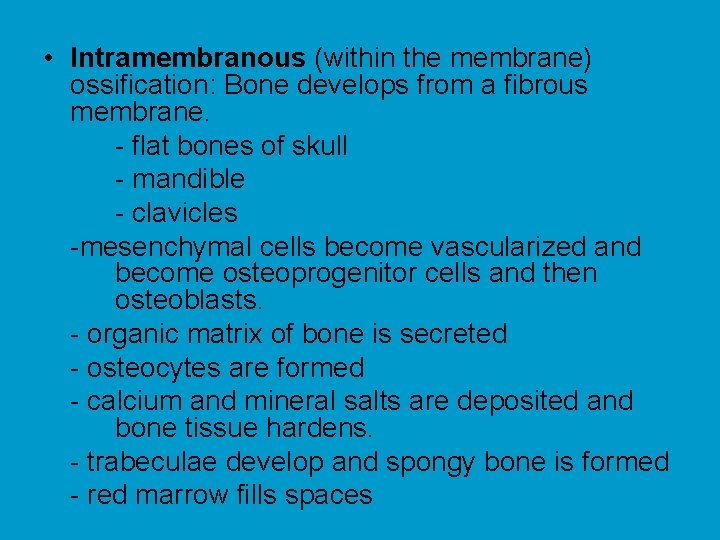  • Intramembranous (within the membrane) ossification: Bone develops from a fibrous membrane. -