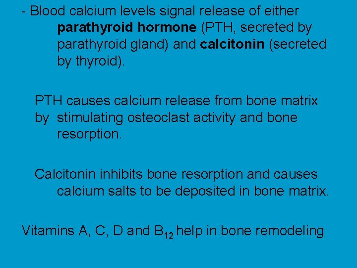 - Blood calcium levels signal release of either parathyroid hormone (PTH, secreted by parathyroid