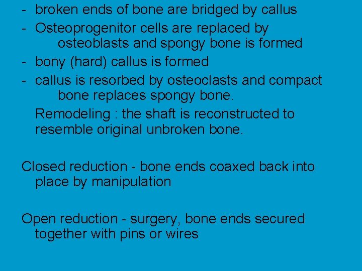 - broken ends of bone are bridged by callus - Osteoprogenitor cells are replaced