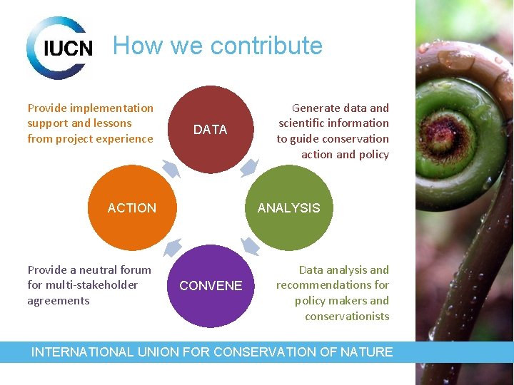 How we contribute Provide implementation support and lessons from project experience DATA ACTION Provide