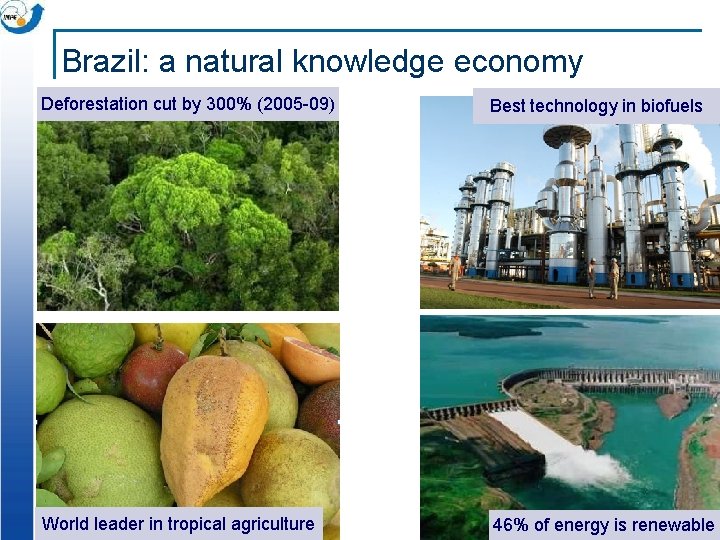 Brazil: a natural knowledge economy Deforestation cut by 300% (2005 -09) Best technology in