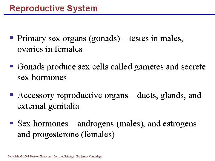 Reproductive System § Primary sex organs (gonads) – testes in males, ovaries in females