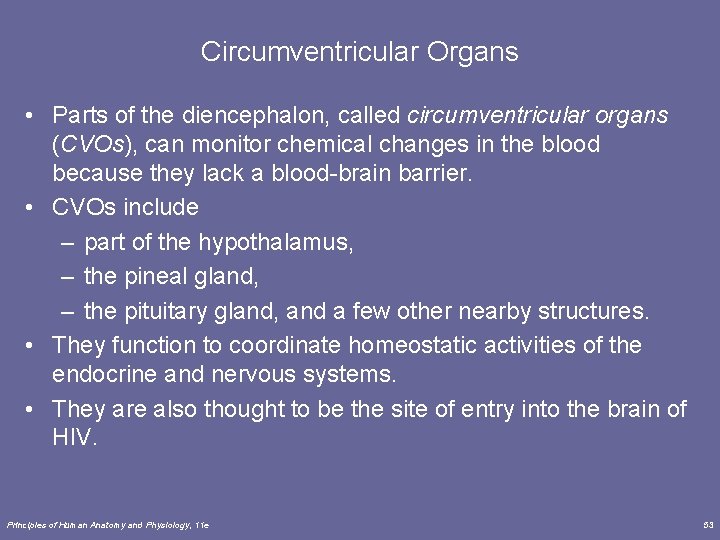 Circumventricular Organs • Parts of the diencephalon, called circumventricular organs (CVOs), can monitor chemical