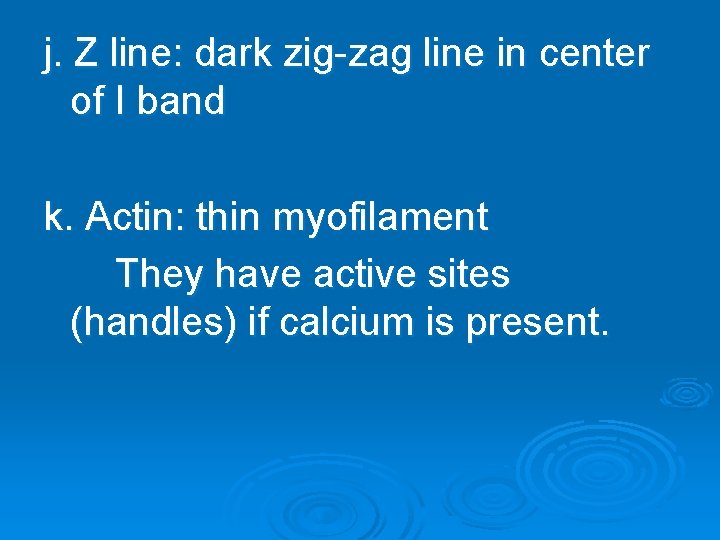 j. Z line: dark zig-zag line in center of I band k. Actin: thin