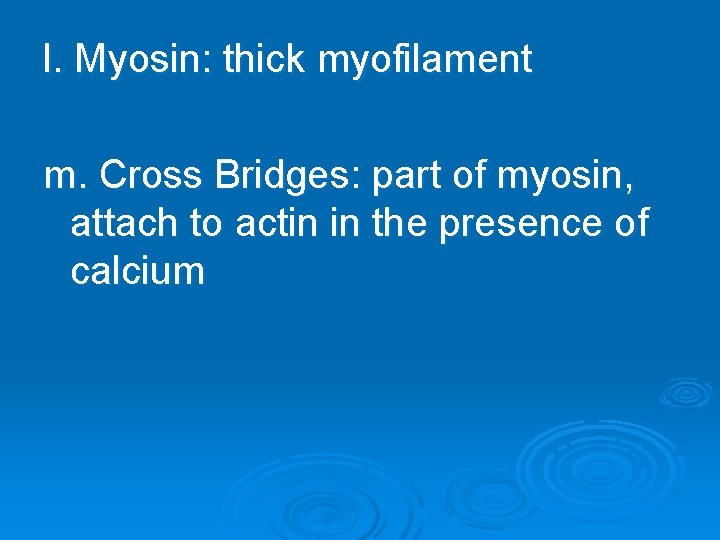 l. Myosin: thick myofilament m. Cross Bridges: part of myosin, attach to actin in