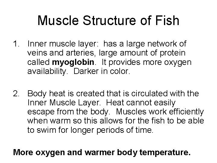 Muscle Structure of Fish 1. Inner muscle layer: has a large network of veins