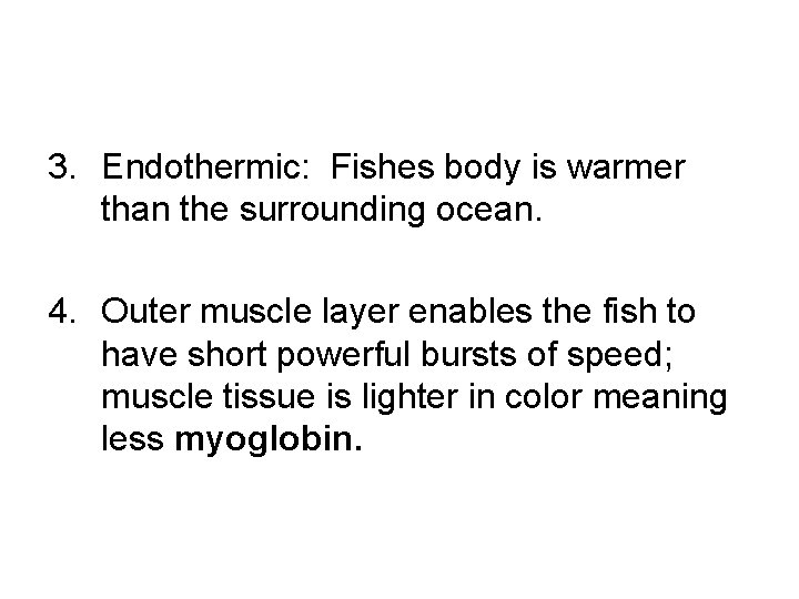 3. Endothermic: Fishes body is warmer than the surrounding ocean. 4. Outer muscle layer