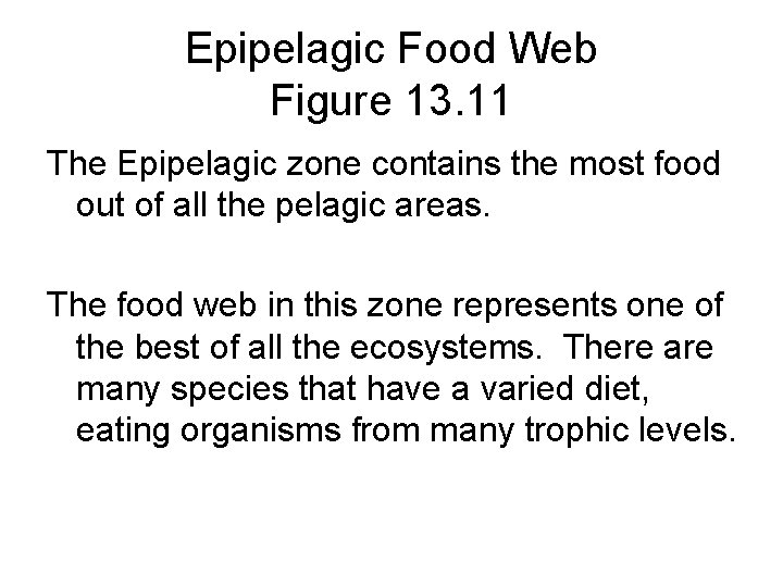 Epipelagic Food Web Figure 13. 11 The Epipelagic zone contains the most food out