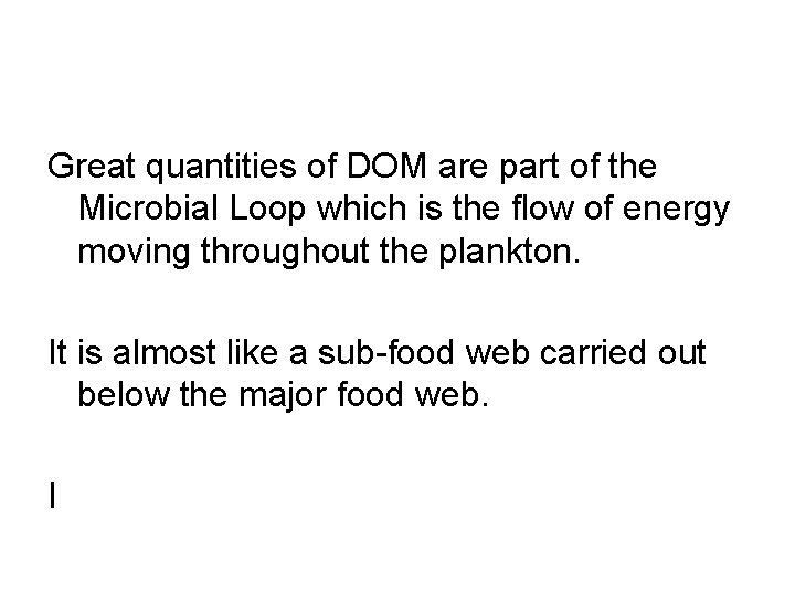 Great quantities of DOM are part of the Microbial Loop which is the flow