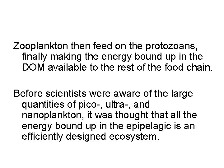 Zooplankton then feed on the protozoans, finally making the energy bound up in the