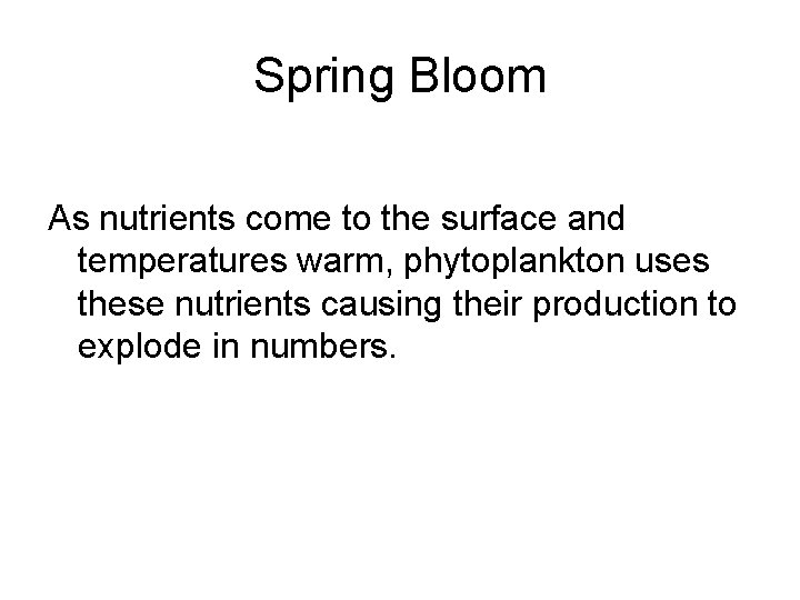 Spring Bloom As nutrients come to the surface and temperatures warm, phytoplankton uses these