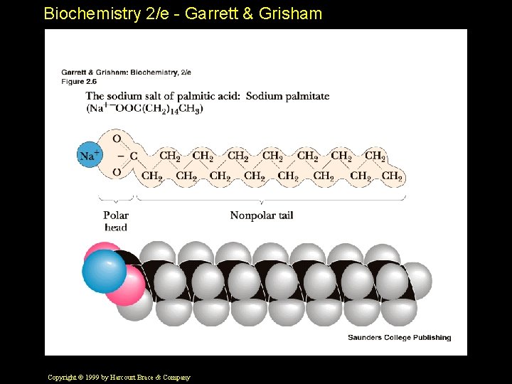 Biochemistry 2/e - Garrett & Grisham Copyright © 1999 by Harcourt Brace & Company