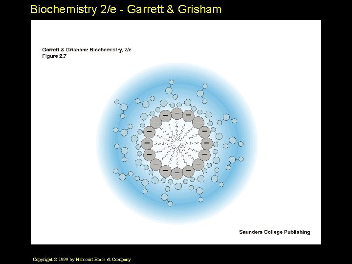 Biochemistry 2/e - Garrett & Grisham Copyright © 1999 by Harcourt Brace & Company