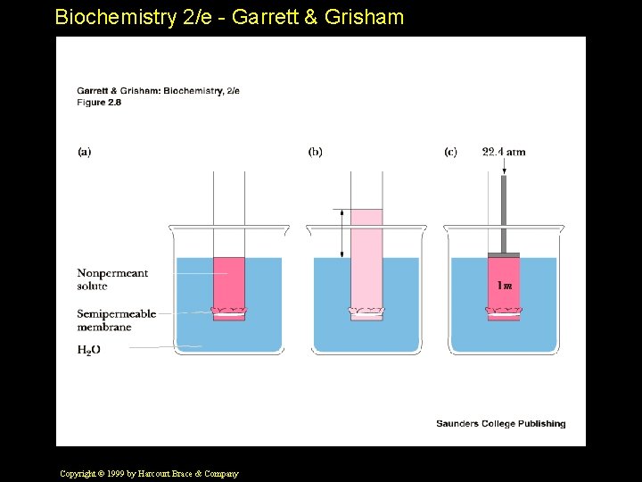 Biochemistry 2/e - Garrett & Grisham Copyright © 1999 by Harcourt Brace & Company