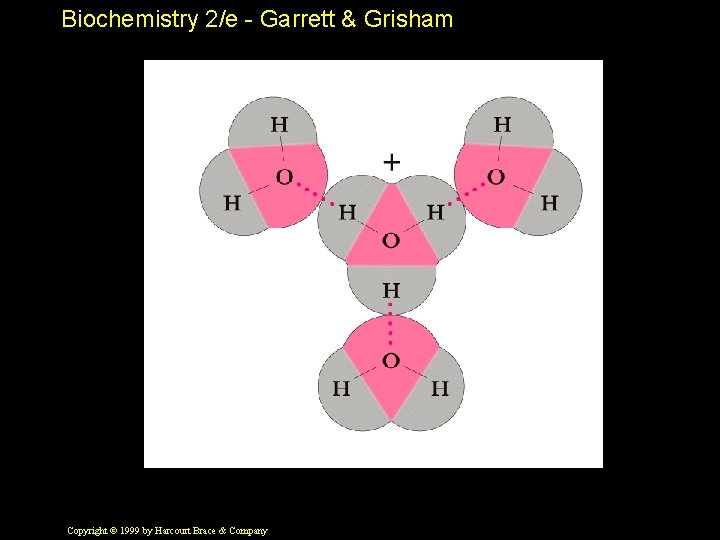 Biochemistry 2/e - Garrett & Grisham Copyright © 1999 by Harcourt Brace & Company