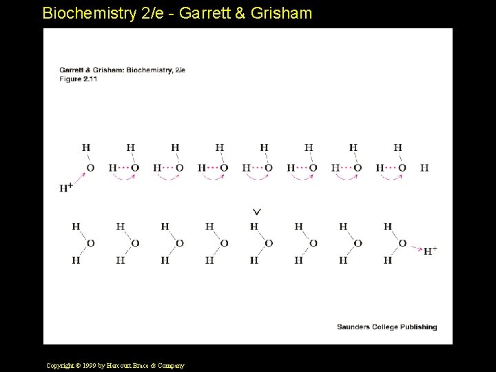 Biochemistry 2/e - Garrett & Grisham Copyright © 1999 by Harcourt Brace & Company