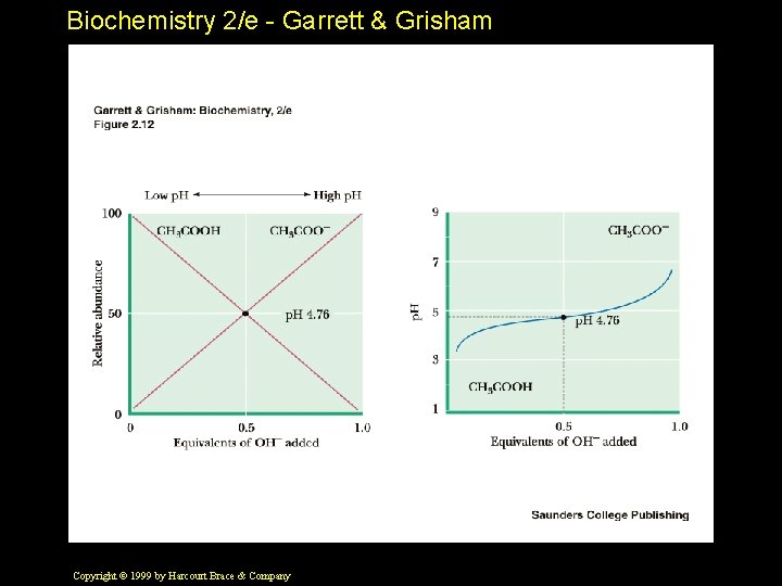 Biochemistry 2/e - Garrett & Grisham Copyright © 1999 by Harcourt Brace & Company