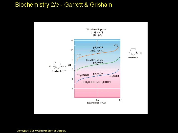 Biochemistry 2/e - Garrett & Grisham Copyright © 1999 by Harcourt Brace & Company