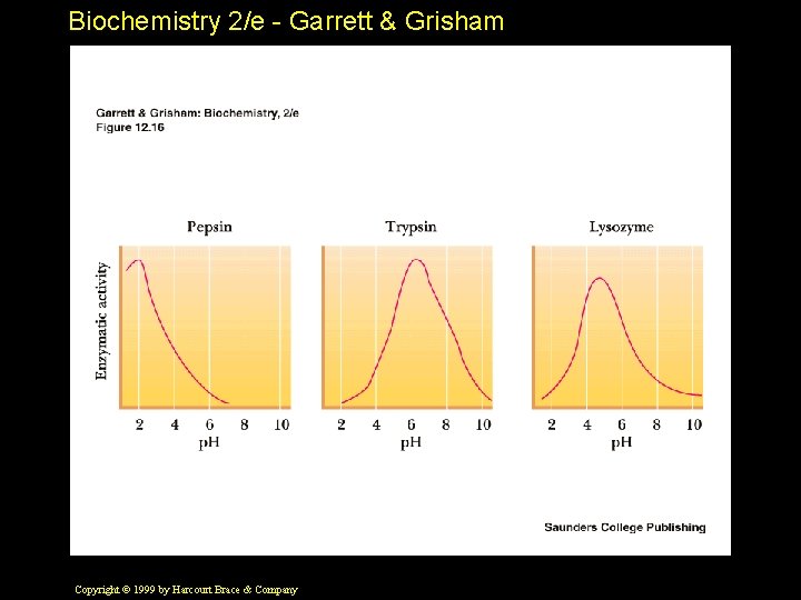 Biochemistry 2/e - Garrett & Grisham Copyright © 1999 by Harcourt Brace & Company