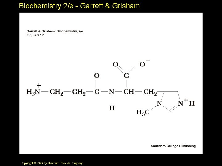 Biochemistry 2/e - Garrett & Grisham Copyright © 1999 by Harcourt Brace & Company