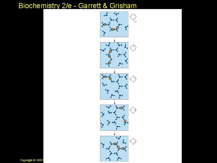 Biochemistry 2/e - Garrett & Grisham Copyright © 1999 by Harcourt Brace & Company