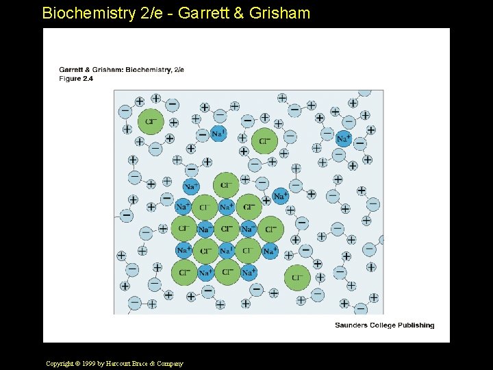 Biochemistry 2/e - Garrett & Grisham Copyright © 1999 by Harcourt Brace & Company