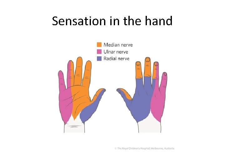 Sensation in the hand 