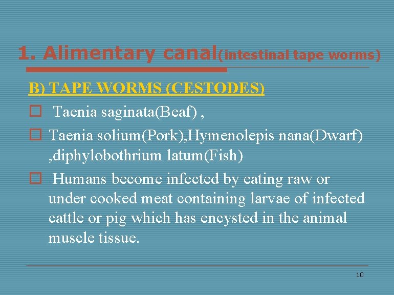1. Alimentary canal(intestinal tape worms) B) TAPE WORMS (CESTODES) o Taenia saginata(Beaf) , o