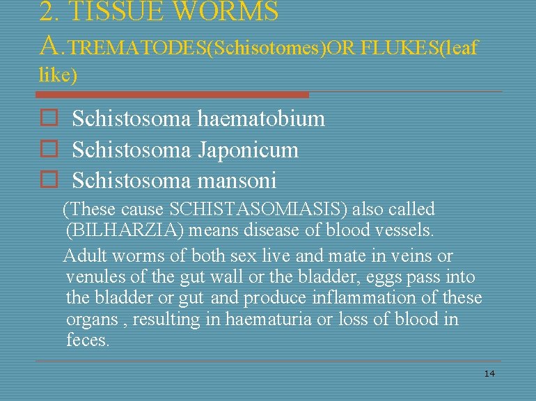 2. TISSUE WORMS A. TREMATODES(Schisotomes)OR FLUKES(leaf like) o Schistosoma haematobium o Schistosoma Japonicum o