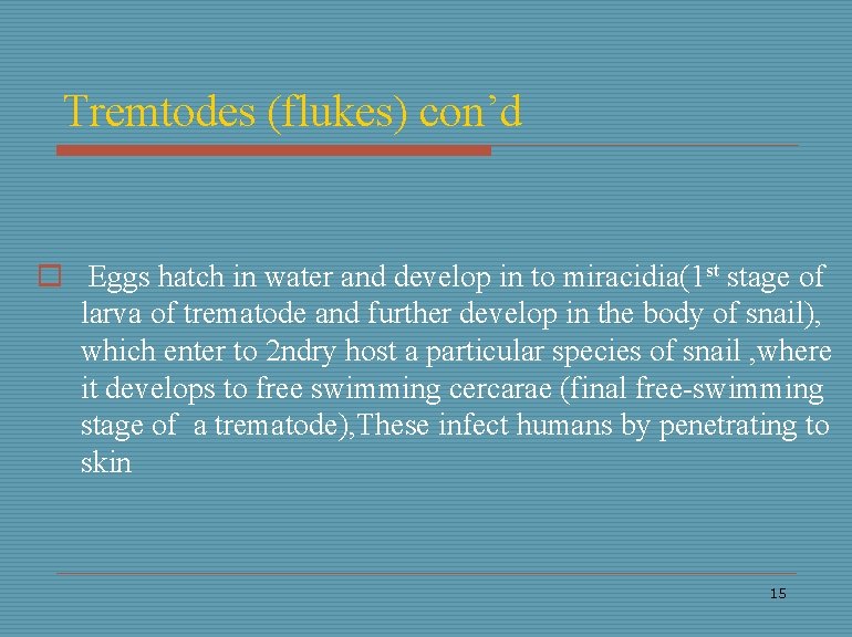 Tremtodes (flukes) con’d o Eggs hatch in water and develop in to miracidia(1 st