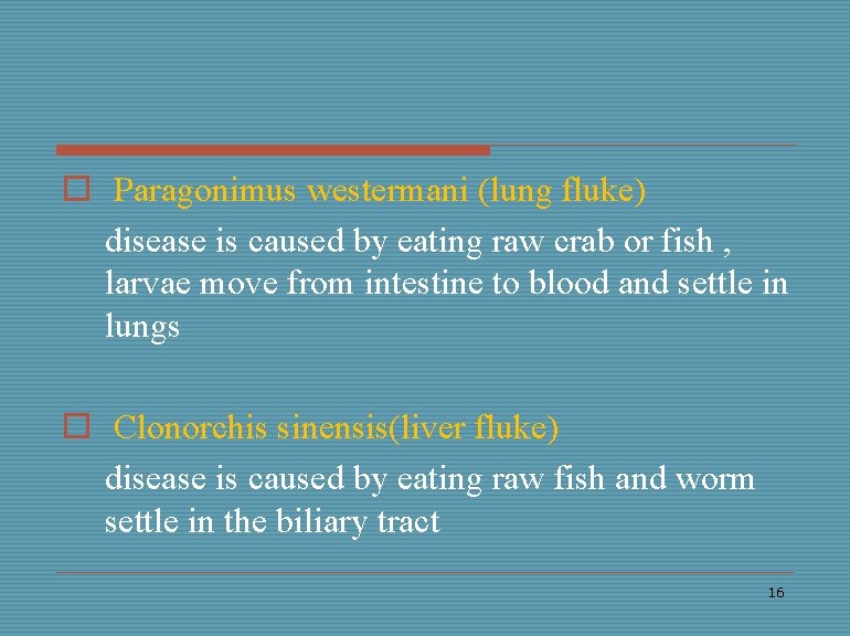 o Paragonimus westermani (lung fluke) disease is caused by eating raw crab or fish