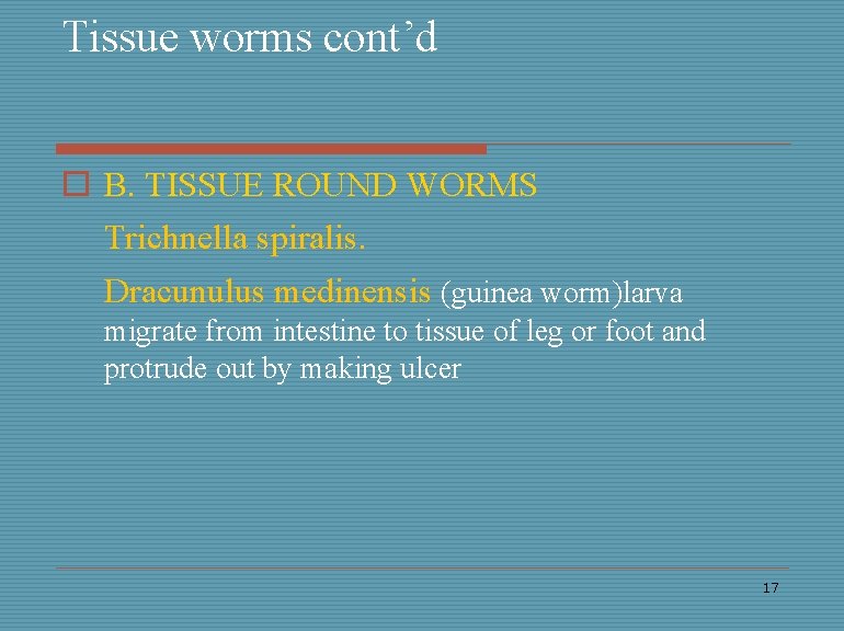 Tissue worms cont’d o B. TISSUE ROUND WORMS Trichnella spiralis. Dracunulus medinensis (guinea worm)larva