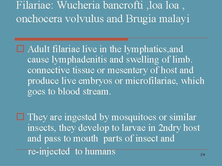 Filariae: Wucheria bancrofti , loa , onchocera volvulus and Brugia malayi o Adult filariae