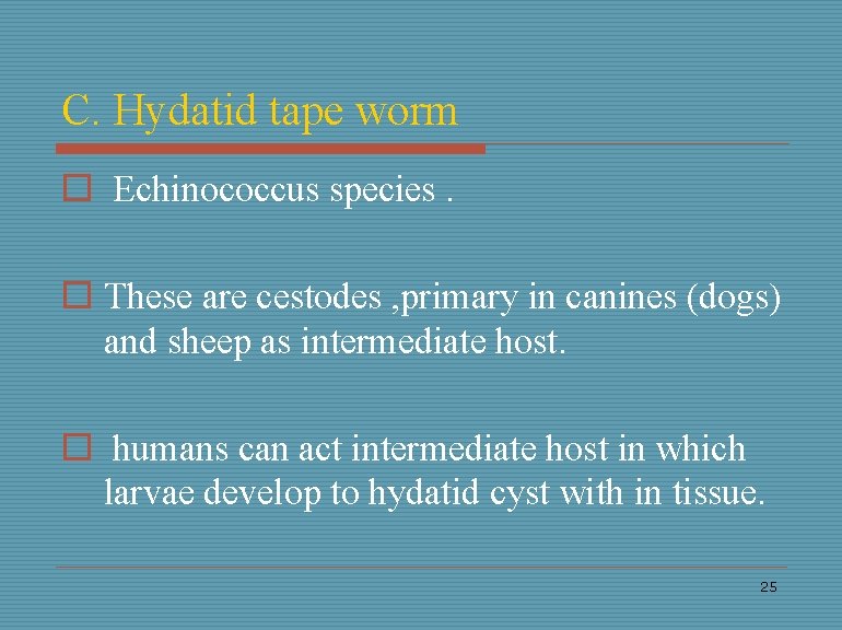 C. Hydatid tape worm o Echinococcus species. o These are cestodes , primary in