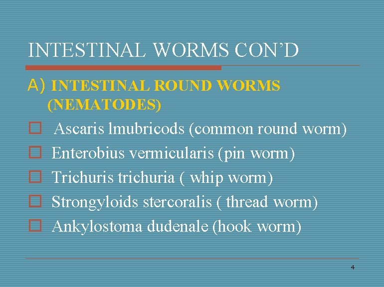INTESTINAL WORMS CON’D A) INTESTINAL ROUND WORMS (NEMATODES) o o o Ascaris lmubricods (common