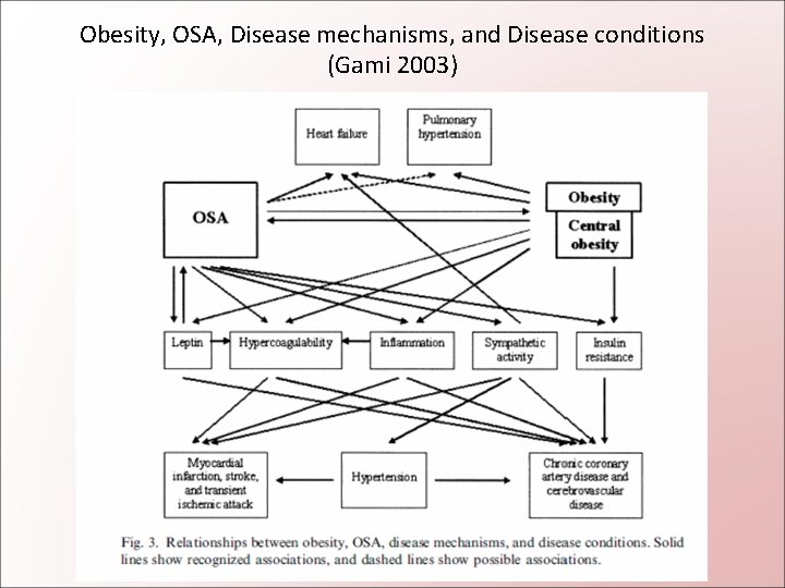 Obesity, OSA, Disease mechanisms, and Disease conditions (Gami 2003) 