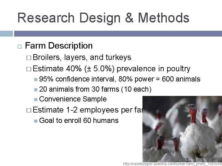 Research Design & Methods Farm Description � Broilers, layers, and turkeys � Estimate 40%