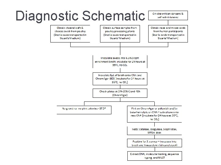 Diagnostic Schematic 