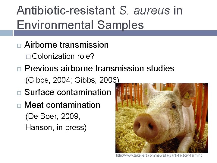 Antibiotic-resistant S. aureus in Environmental Samples Airborne transmission � Colonization role? Previous airborne transmission