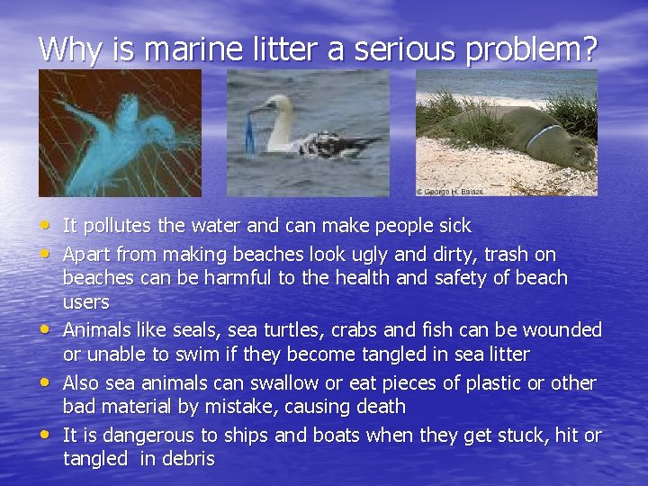 Why is marine litter a serious problem? • It pollutes the water and can
