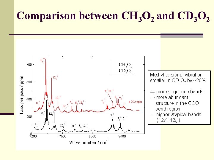 Comparison between CH 3 O 2 and CD 3 O 2 Methyl torsional vibration