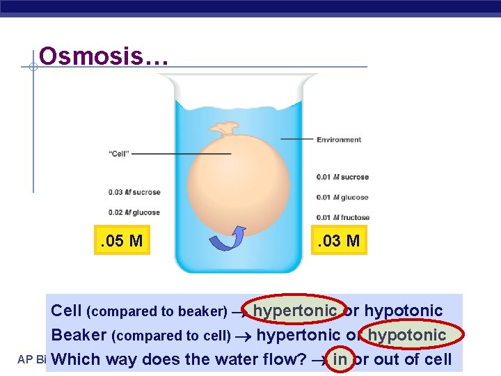 Osmosis… . 05 M . 03 M Cell (compared to beaker) hypertonic or hypotonic