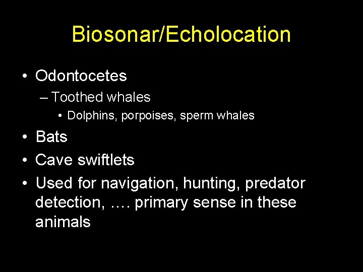 Biosonar/Echolocation • Odontocetes – Toothed whales • Dolphins, porpoises, sperm whales • Bats •