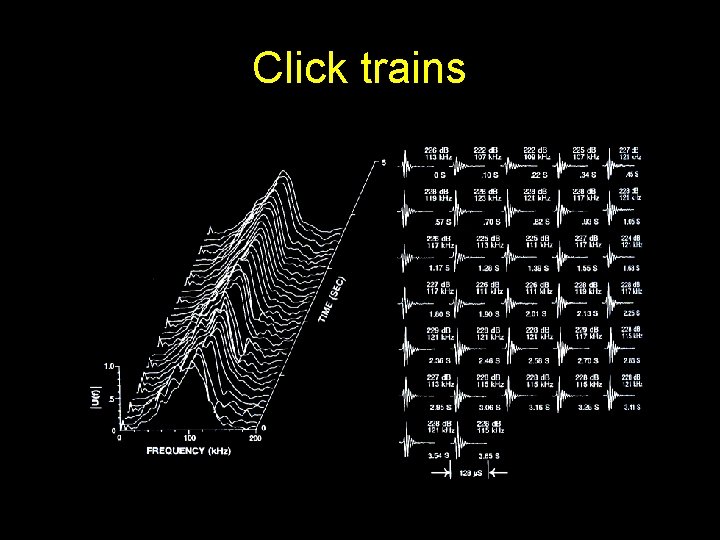 Click trains 